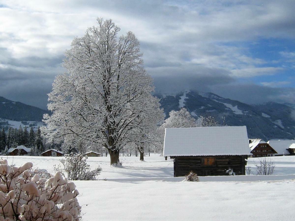 Blockhaus Royer Apartment Ramsau am Dachstein Ngoại thất bức ảnh